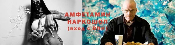 шишки Алексин