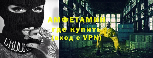 шишки Алексин