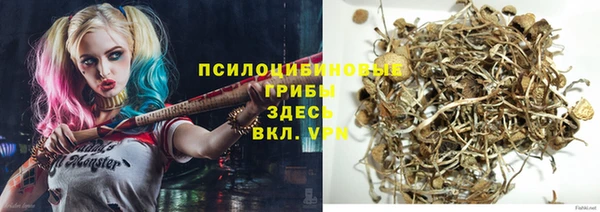 крисы Алексеевка