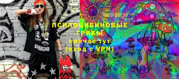 шишки Алексин